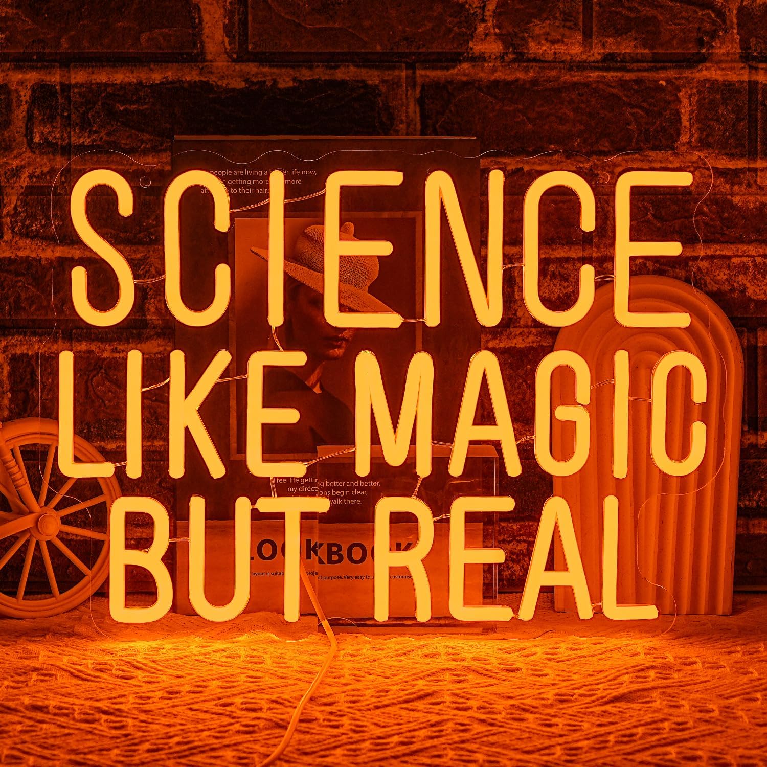 Science Like Magic But Real Ne - Science Hobbyist review and price