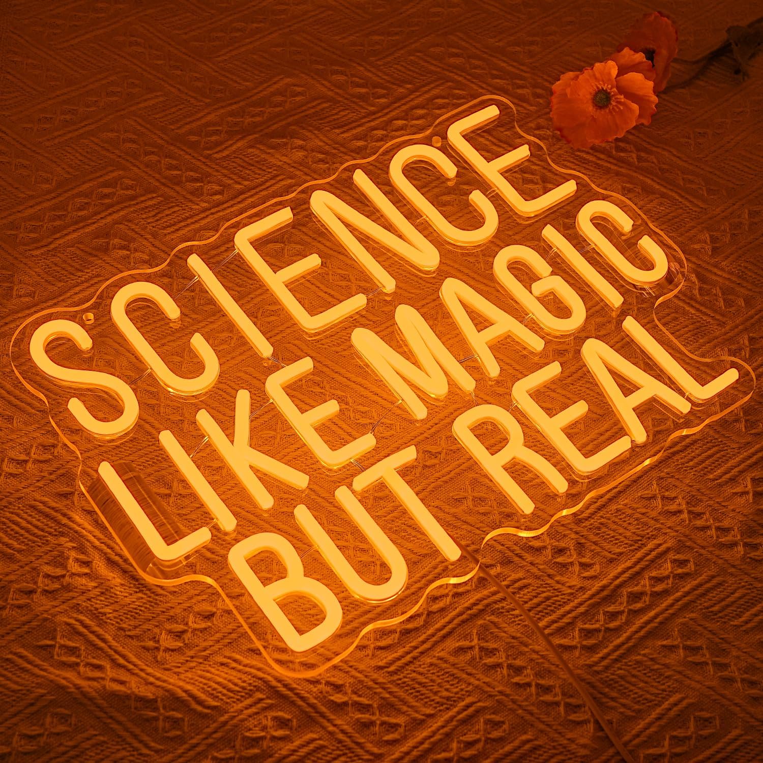 Science Like Magic But Real Ne - Science Hobbyist review and price