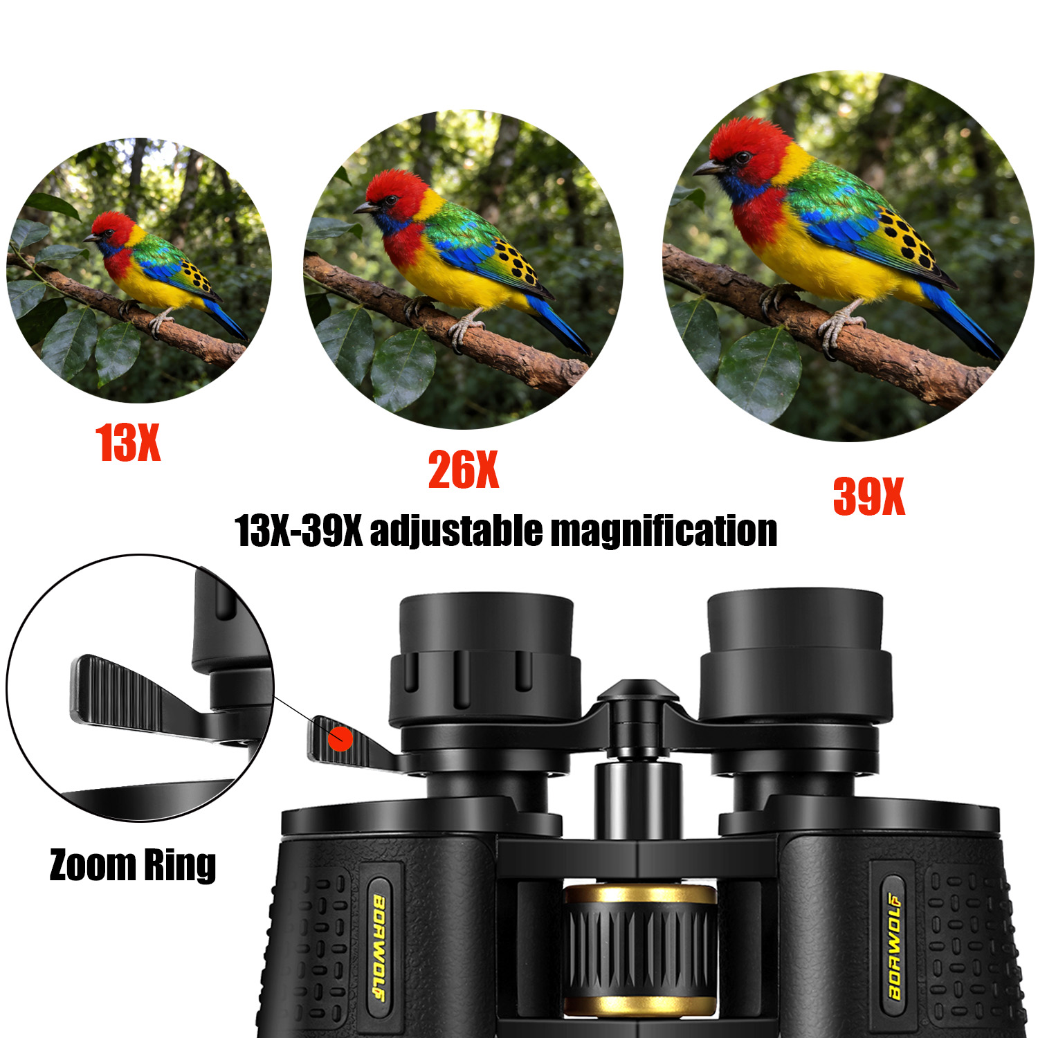 BORWOLF 13-39X70 ED High Magni - National Geographic Telescope 70Mm review and price