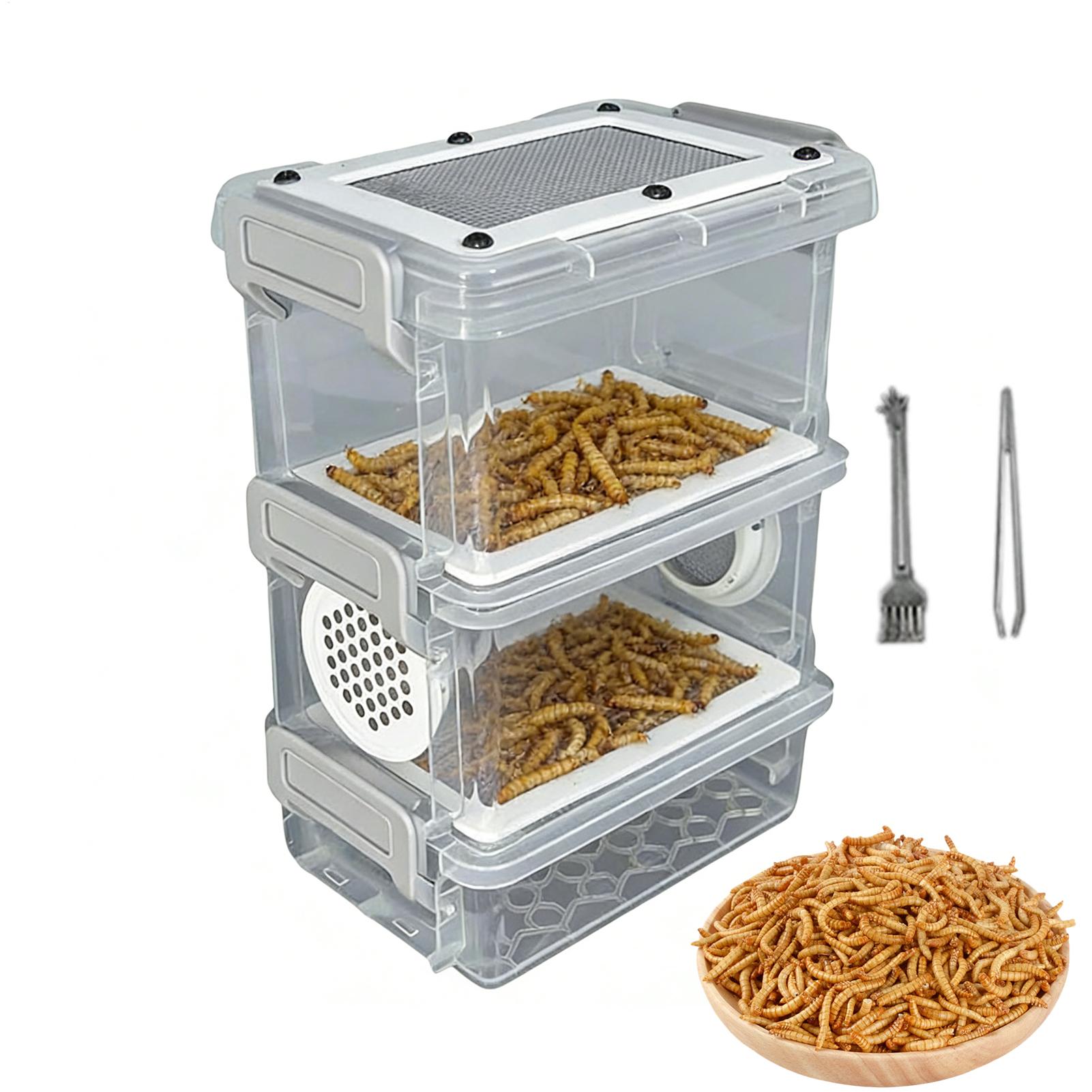 Mealworm Breeding Kit 3-Layer  - Science Hobbyist review and price