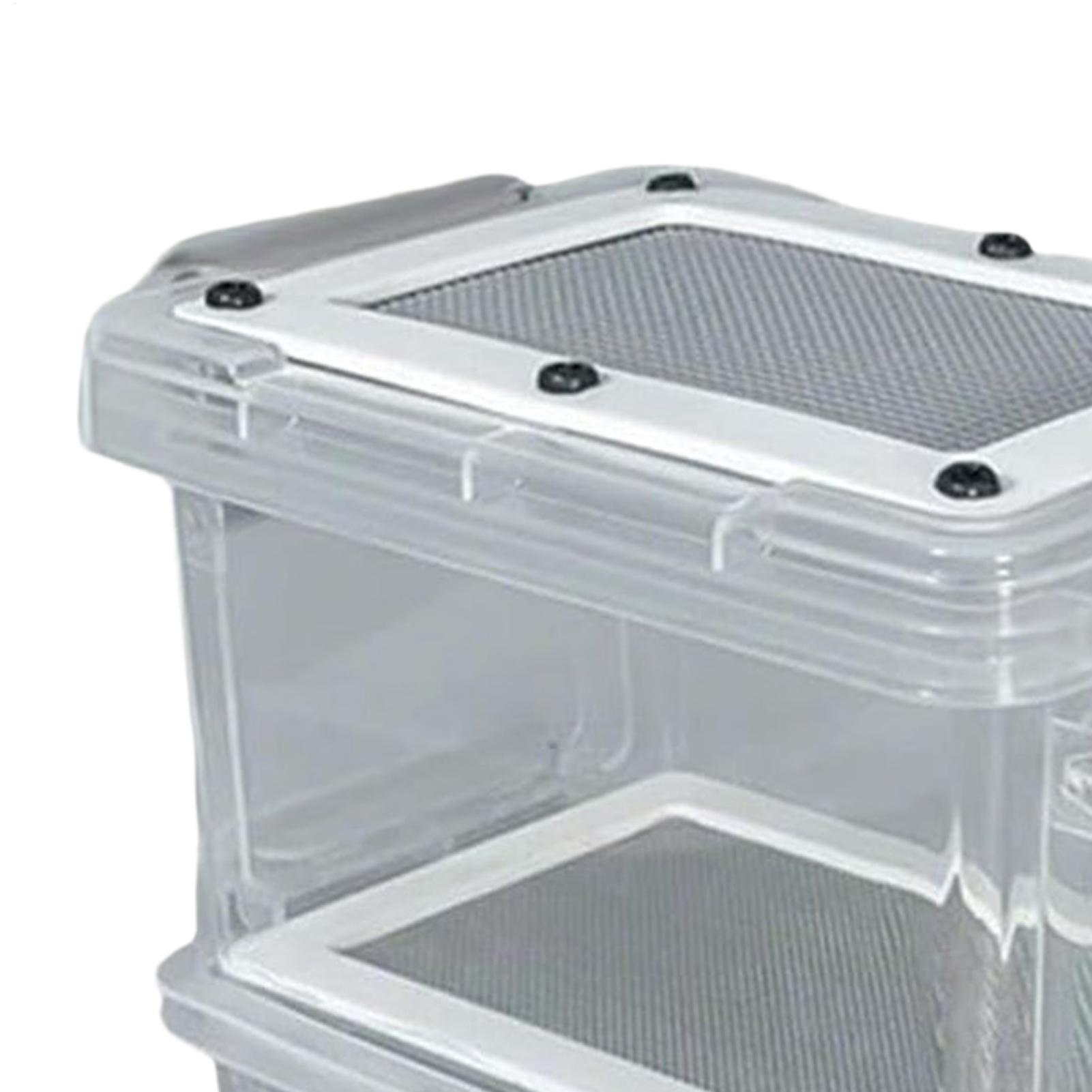 Mealworm Breeding Kit 3-Layer  - Science Hobbyist review and price