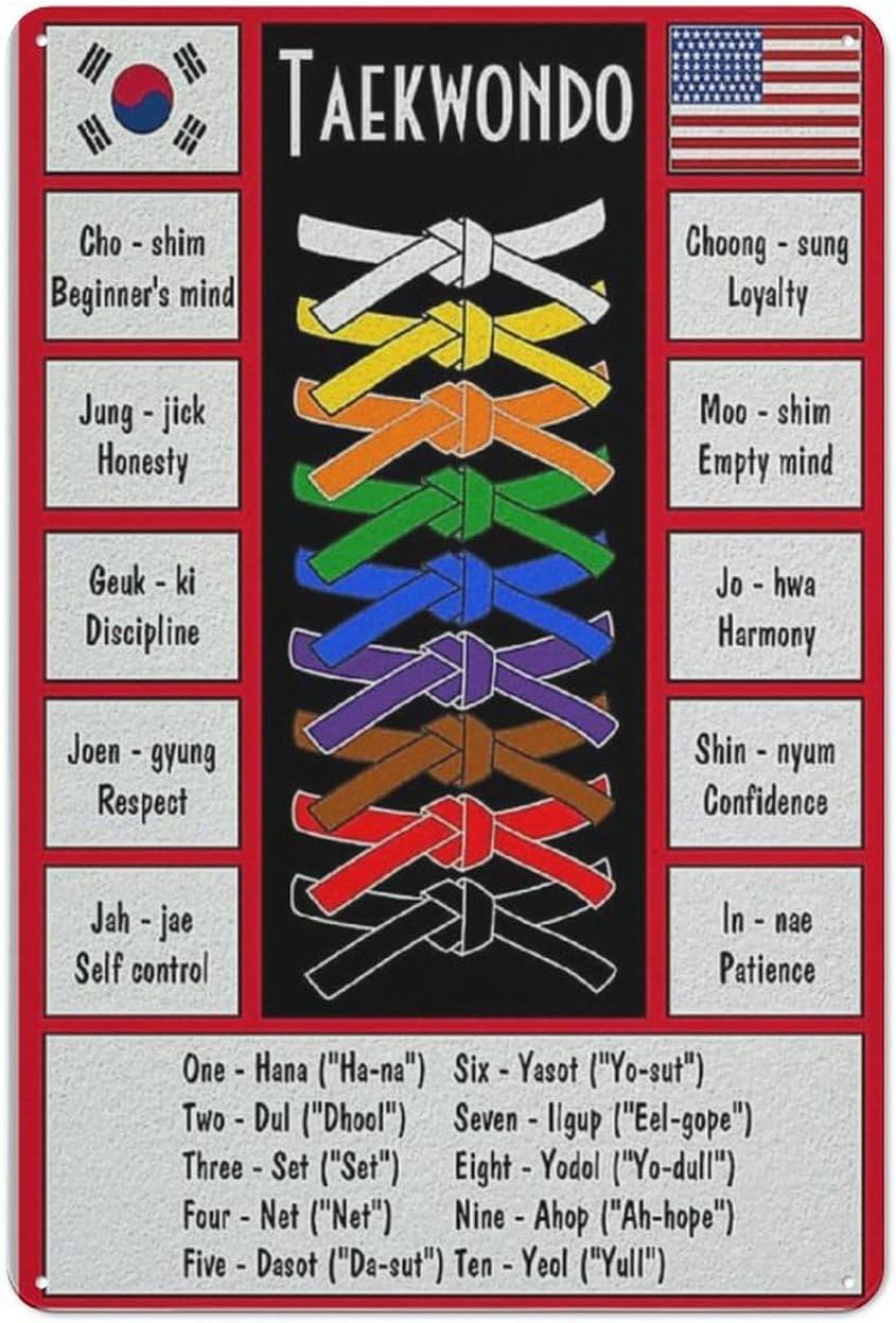 Taekwondo Knowledge Metal Sign - Science Hobbyist review and price