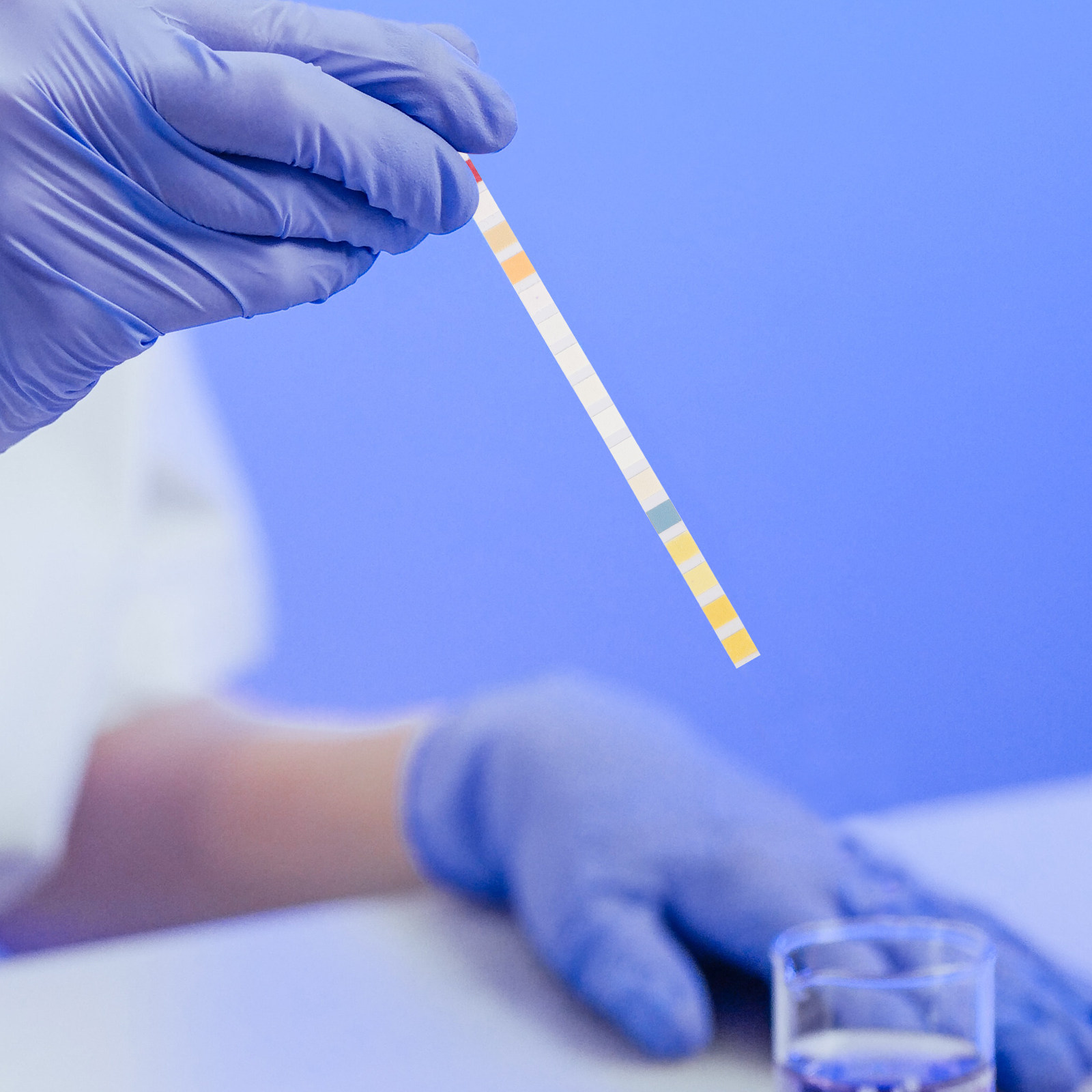 100Pcs Water Testing Strips fo - Water Testing Kit review and price