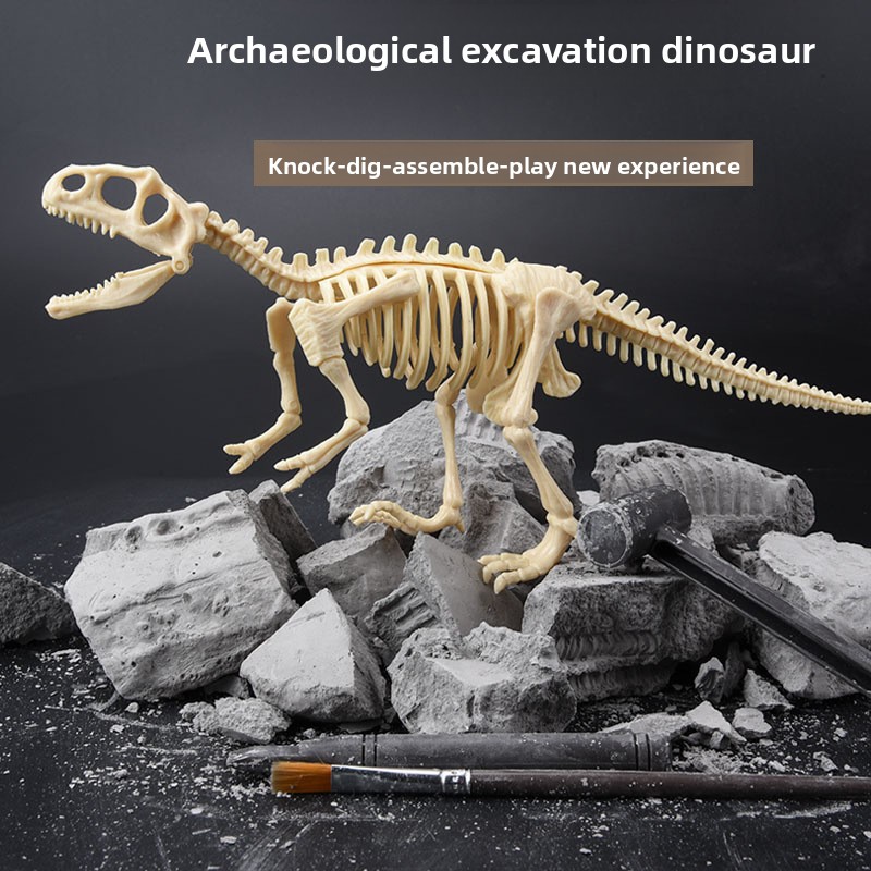 Dinosaur Fossil Excavation Kit - Science Toys review and price
