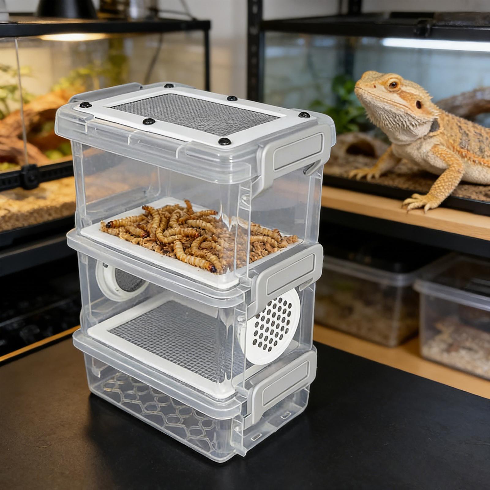 3-Layer Silkworm Feeder Bin Co - Science Hobbyist review and price