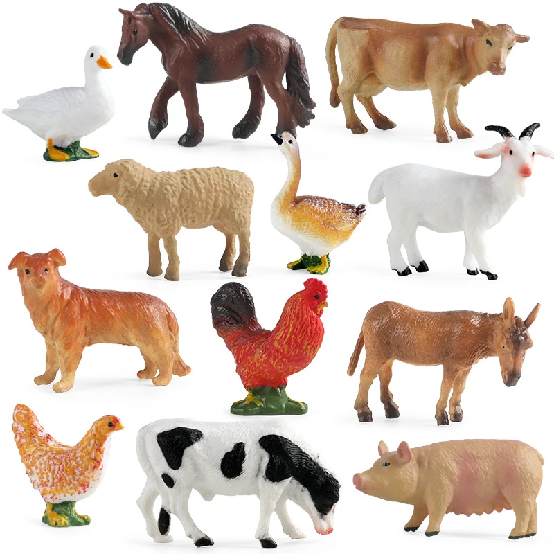Education Teaching Tool Poultr - Science Toys review and price